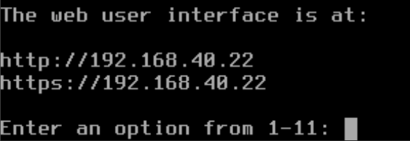 ip address displayed in proxmox console